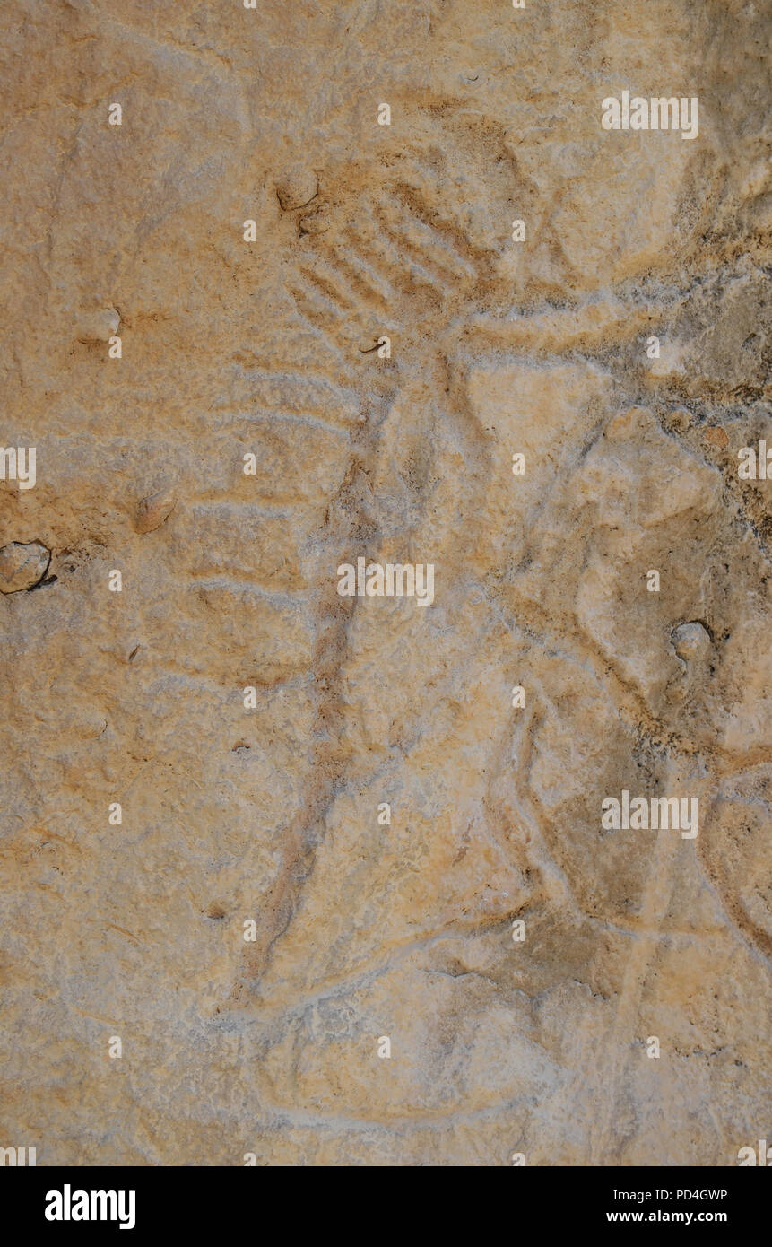 D'anciens pétroglyphes à Gobustan (Azerbaïdjan), de Gobustan Banque D'Images