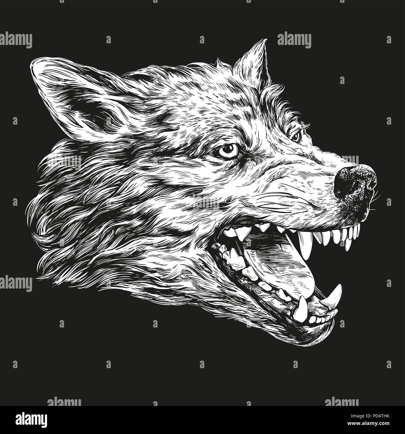 Bouche d'un loup, la faune hand drawn vector illustration croquis réalistes sur un fond noir et blanc Illustration de Vecteur