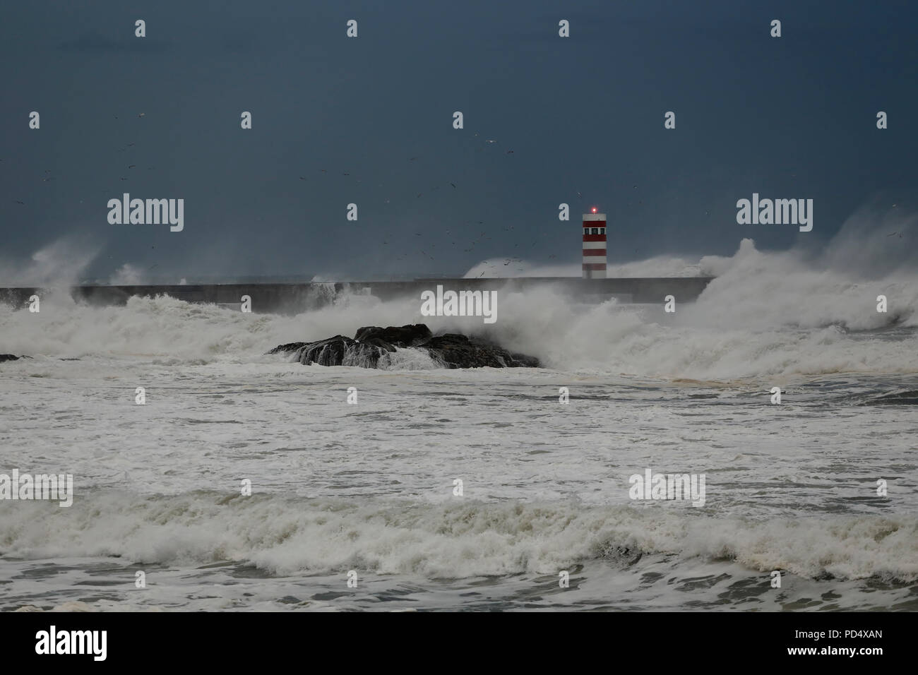 Seascape sombre au crépuscule avant la pluie et grosse tempête Banque D'Images