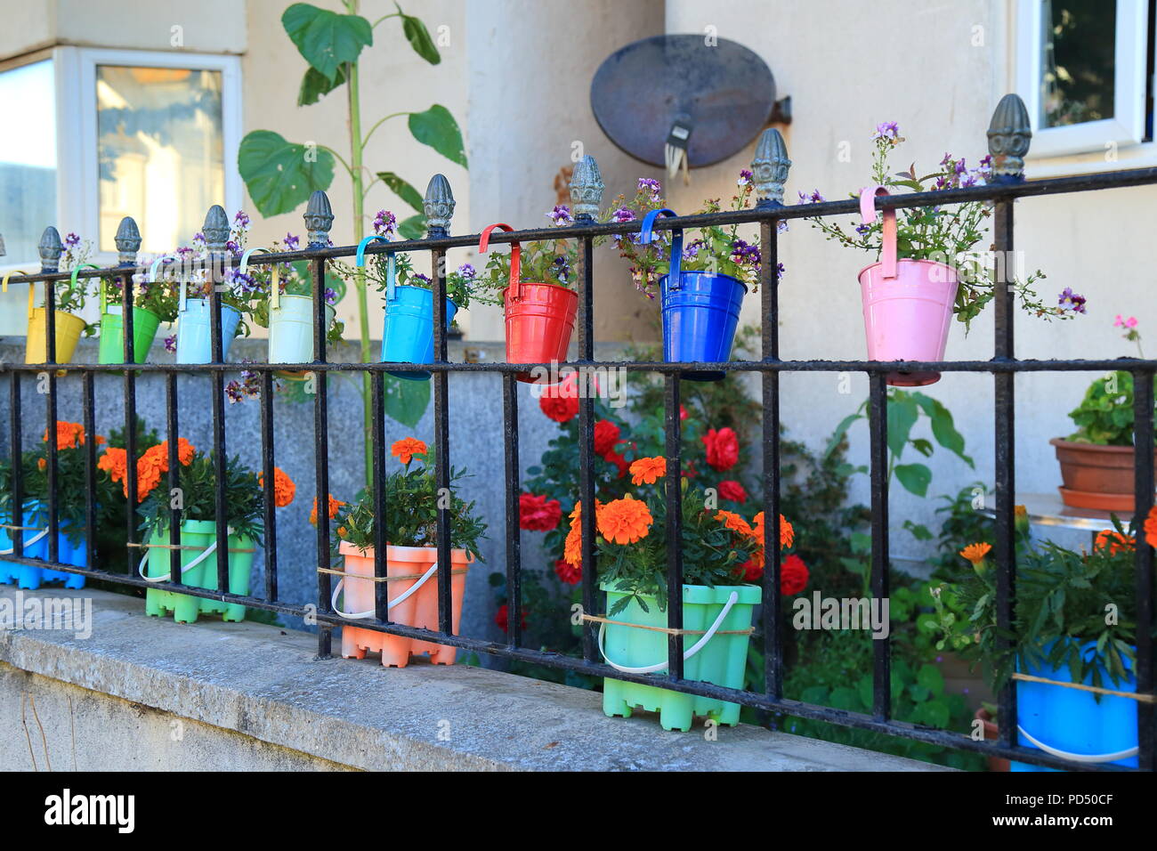 Rangée de pots de jardin très coloré de l'affiche autour de clôture garde-corps en métal Banque D'Images