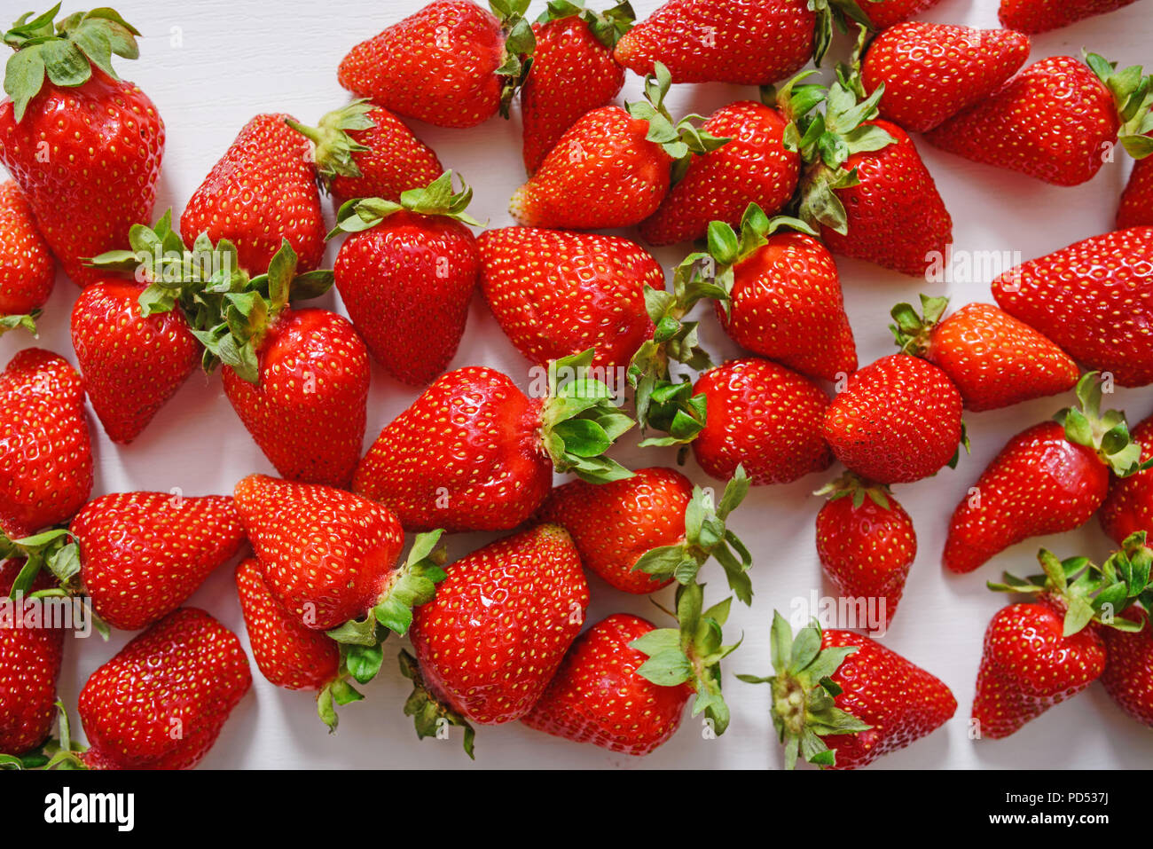 Des fraises fraîches. Fraises sur fond blanc en béton. La récolte des fraises locales biologiques. Banque D'Images