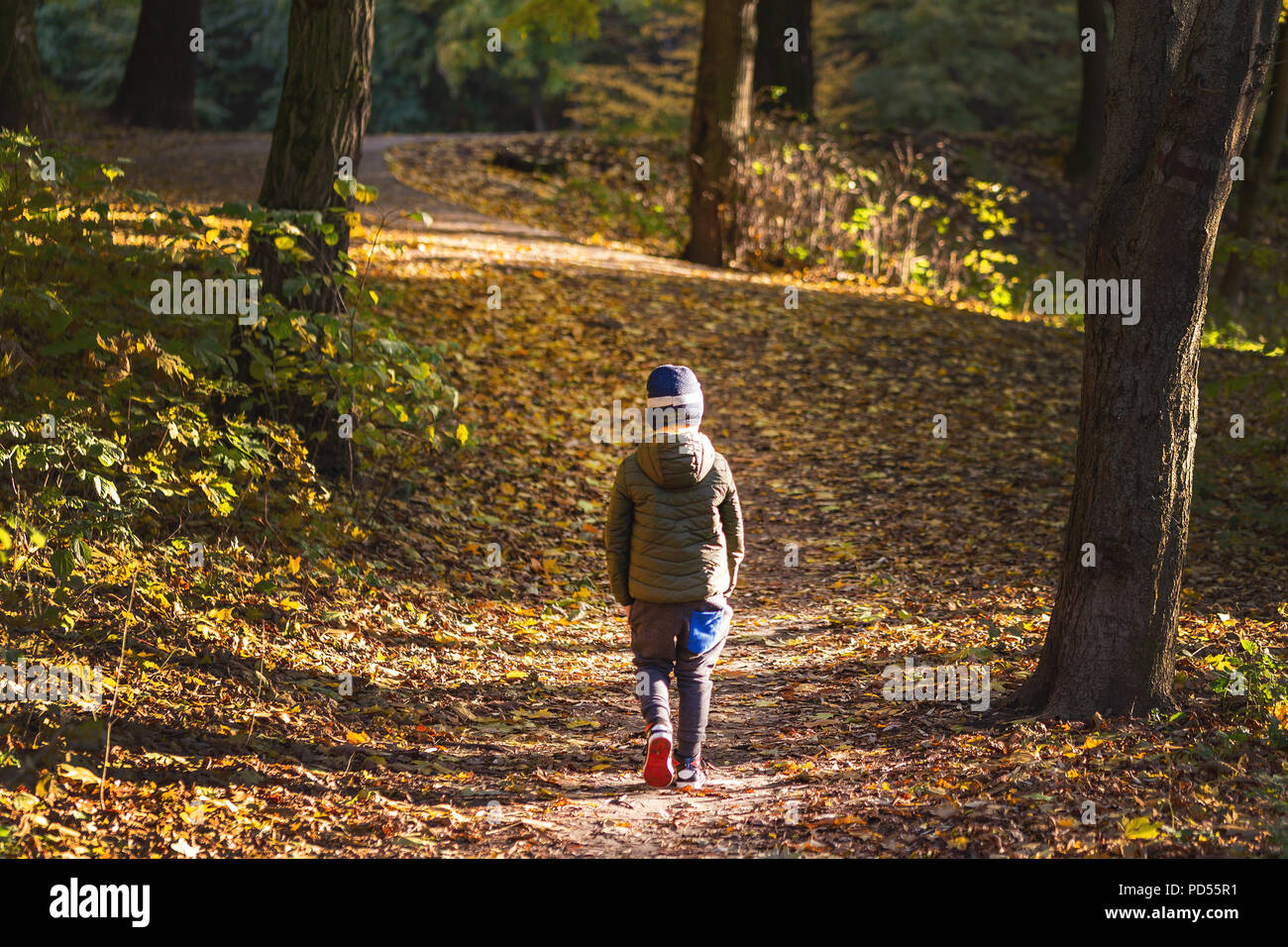 Petit bébé garçon marcher seul jusqu'à l'automne de la forêt. Chemin dans  la vie. L'intimidation à l'école concept. Faire peur et d'effroi. Vue  arrière Photo Stock - Alamy