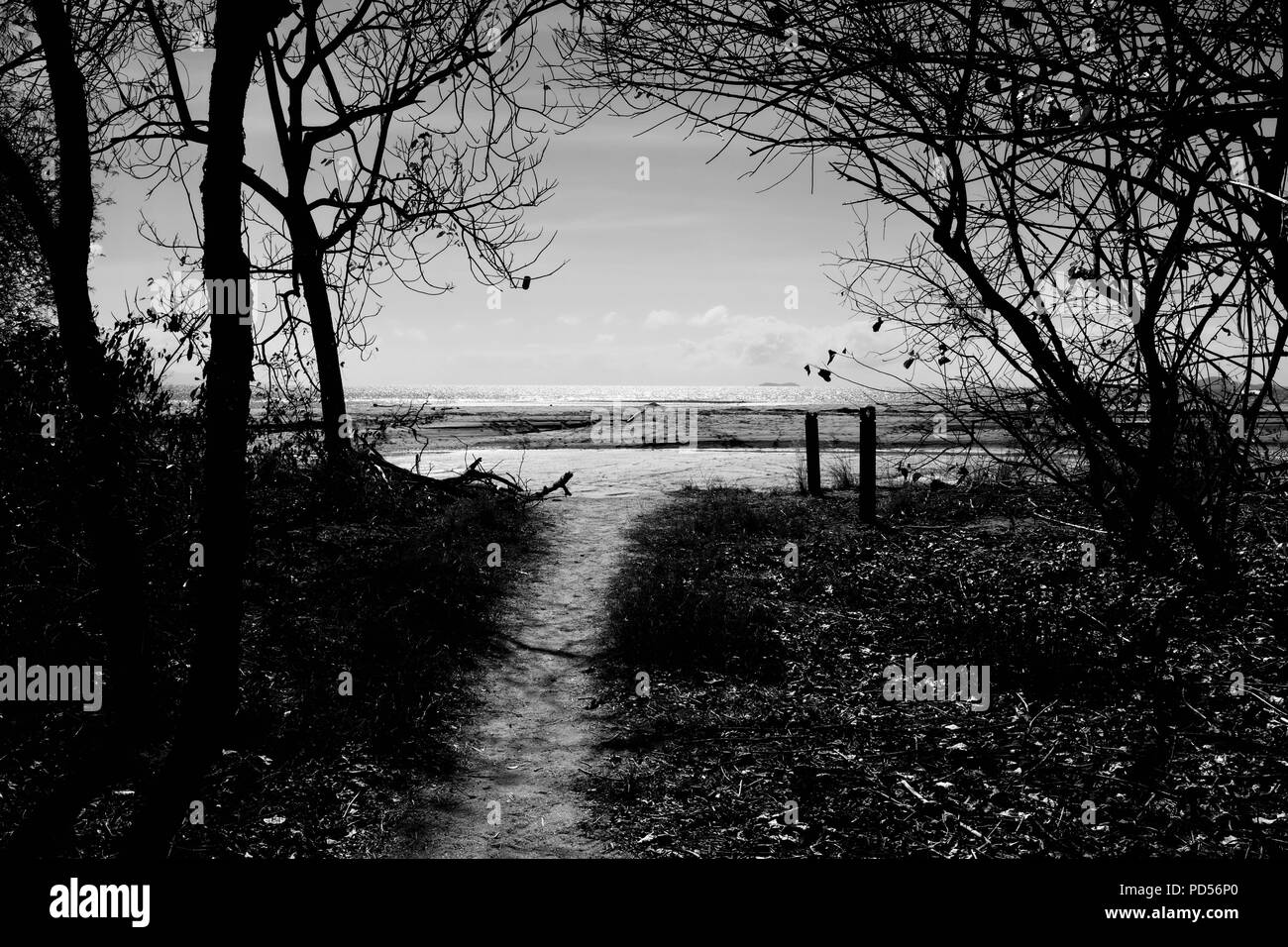 L'entrée d'une plage en noir et blanc, Toomulla QLD, Australie Banque D'Images