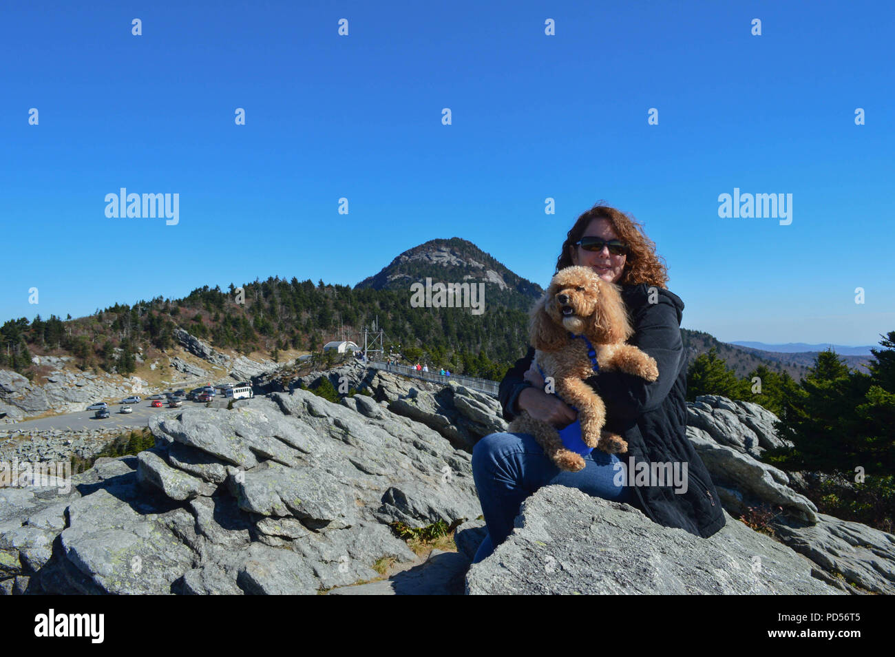 Une Cockapoo bénéficie d'soigneusement Grandfather Mountain's Views de Linville Crête avec l'aide de sa famille. Banque D'Images