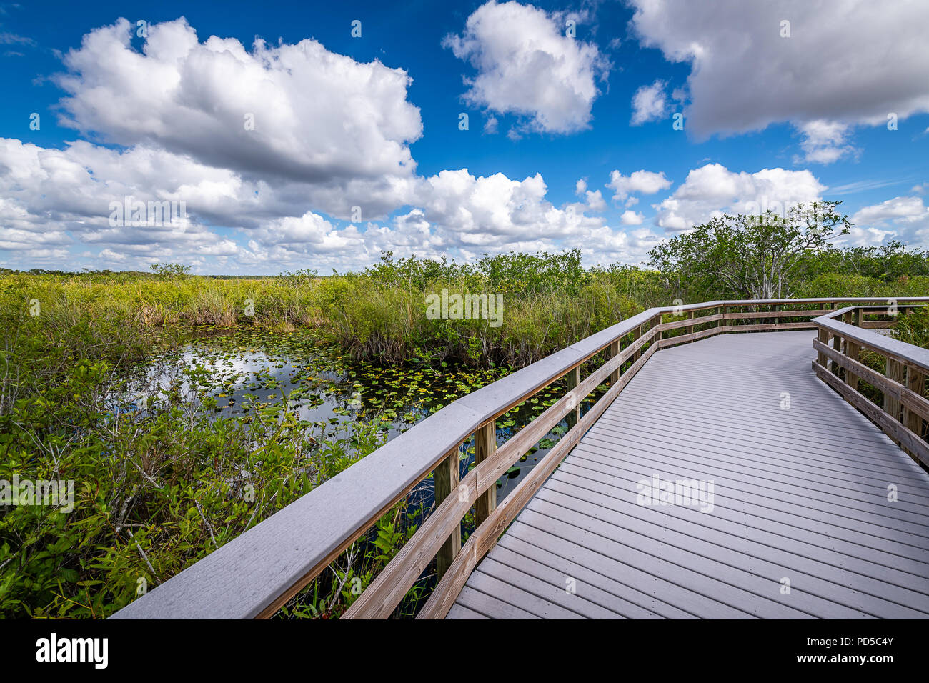 Le Parc National des Everglades Banque D'Images
