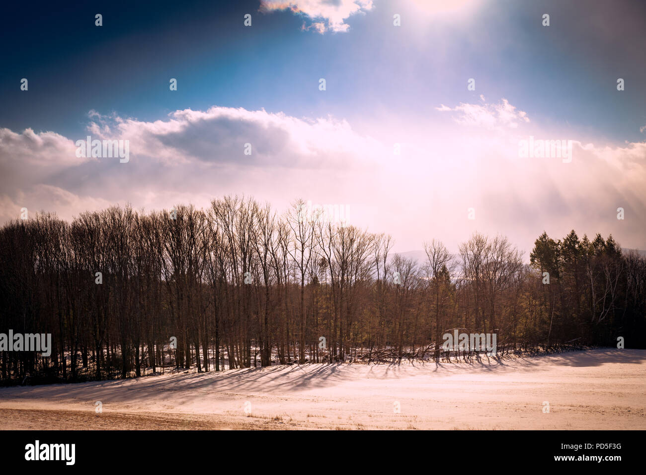 Paysage d'hiver avec le soleil Banque D'Images