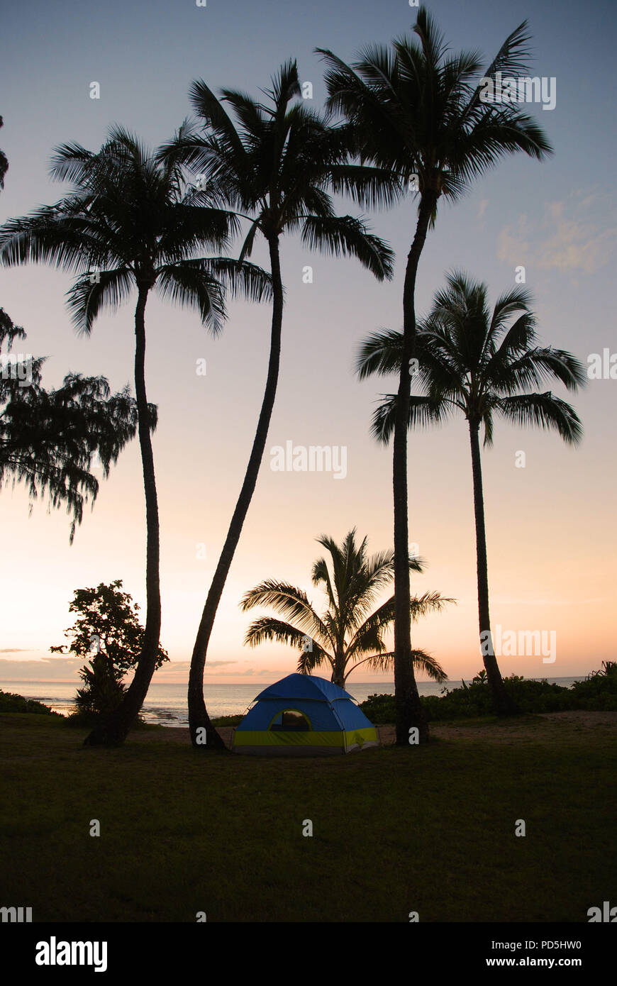 Tente de camping et de silhouettes de palmiers à l'heure du coucher du soleil à Haena Beach Park, Kauai, Hawaii, USA Banque D'Images