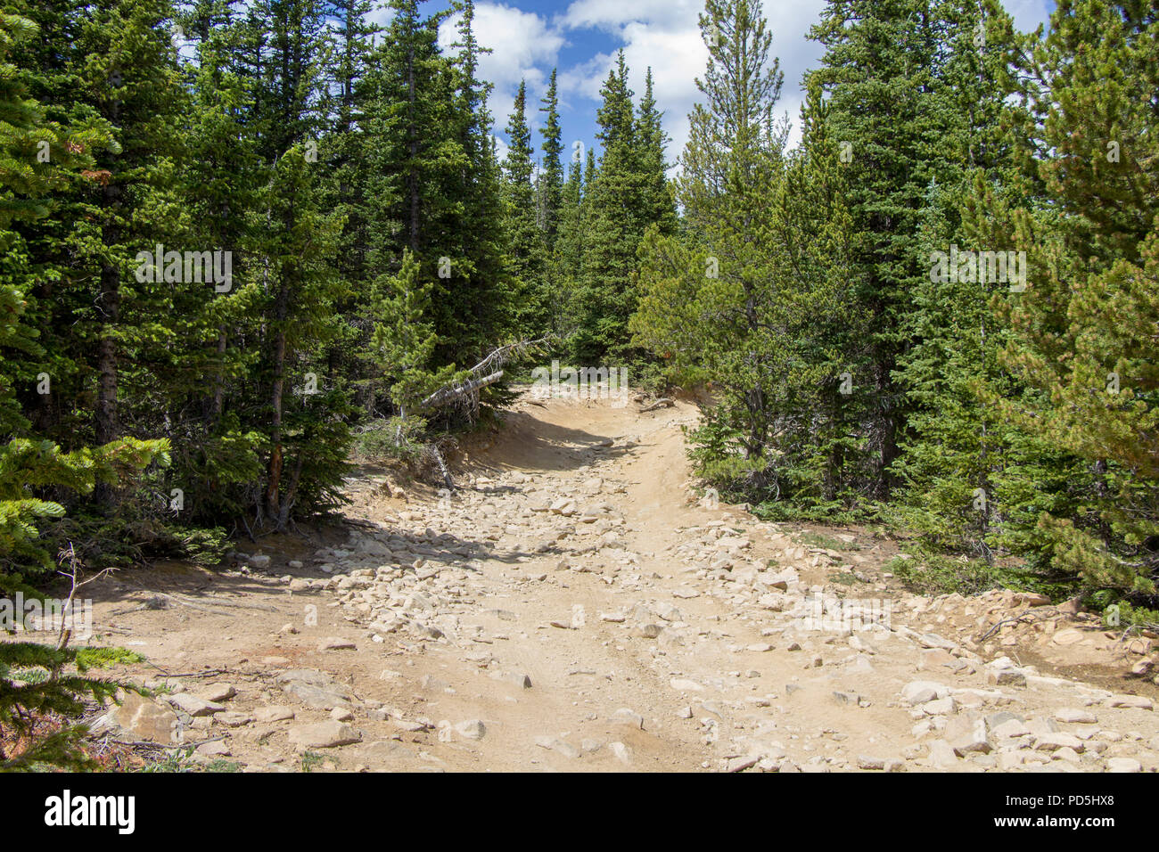 L'exploration de la colline dans la Jeep Yankee Banque D'Images