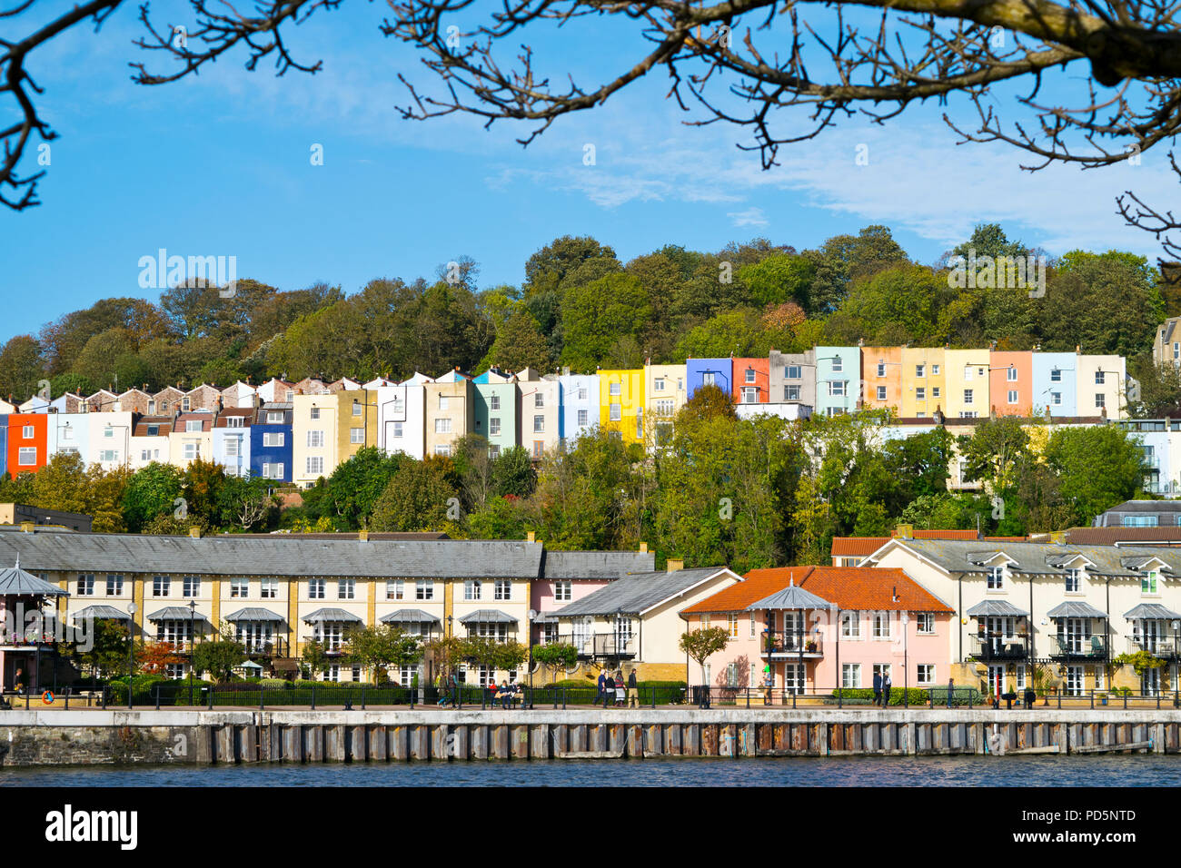 Géorgien contemporain coloré et terrasse maisons. Les deux rangées de maisons séparées par des arbres sous un ciel bleu, à côté du quai flottant, Bristol Banque D'Images