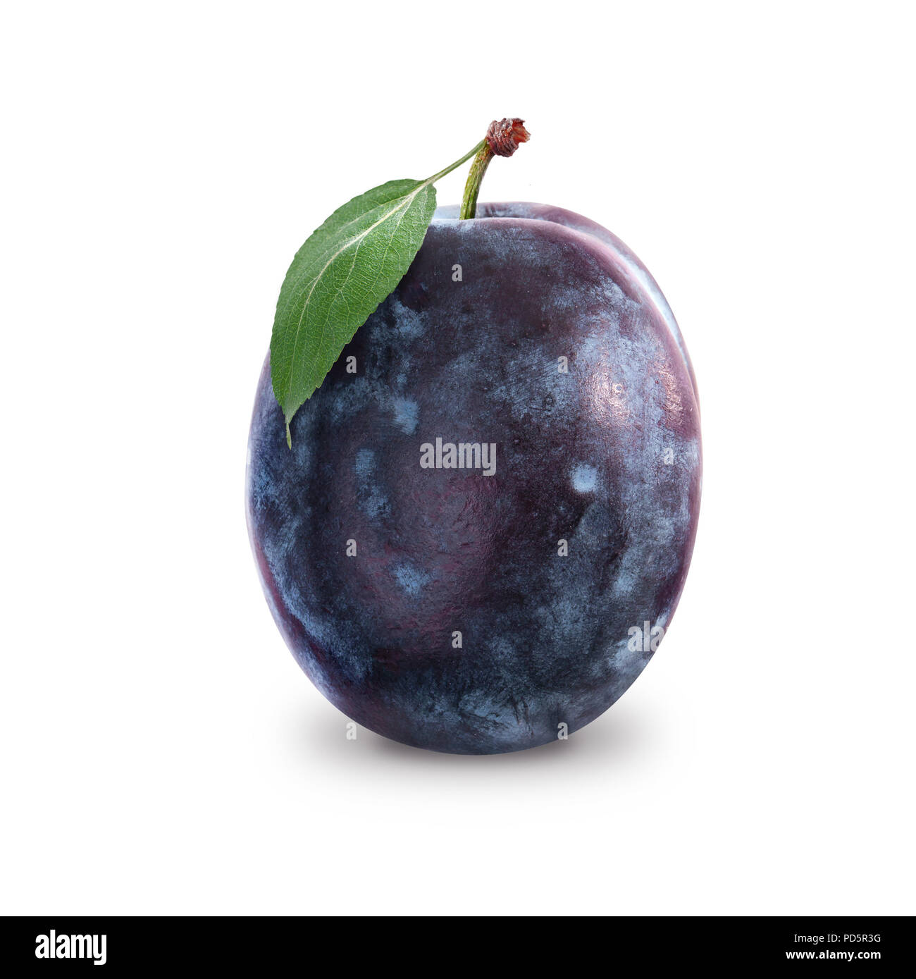 Une prune mûre isolé sur fond blanc Banque D'Images