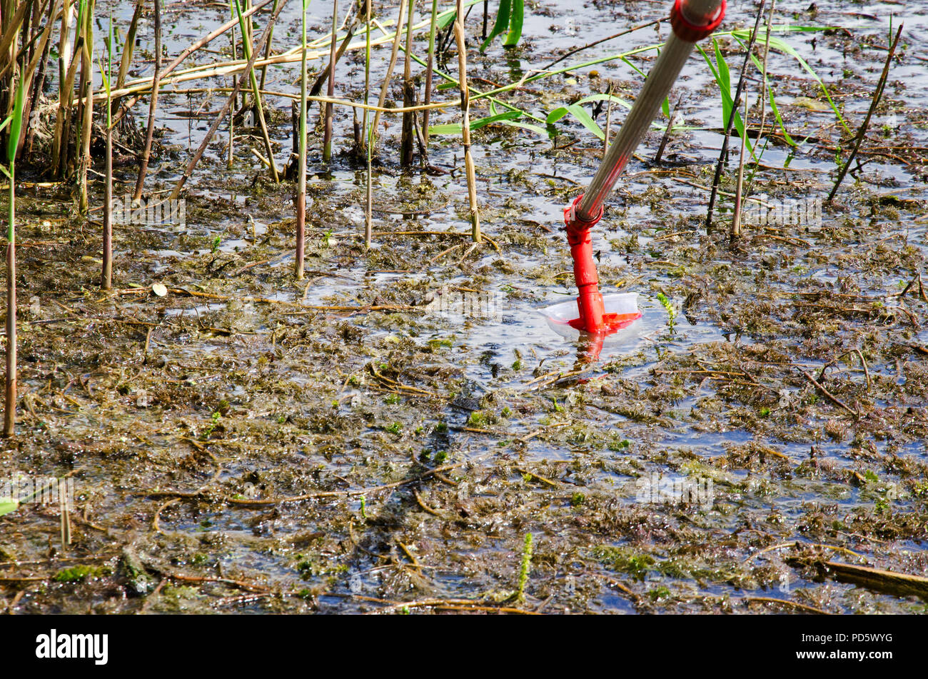 Prélever des échantillons d'eau pour les essais en laboratoire. Le concept - l'analyse de pureté de l'eau, l'environnement, l'écologie. Banque D'Images