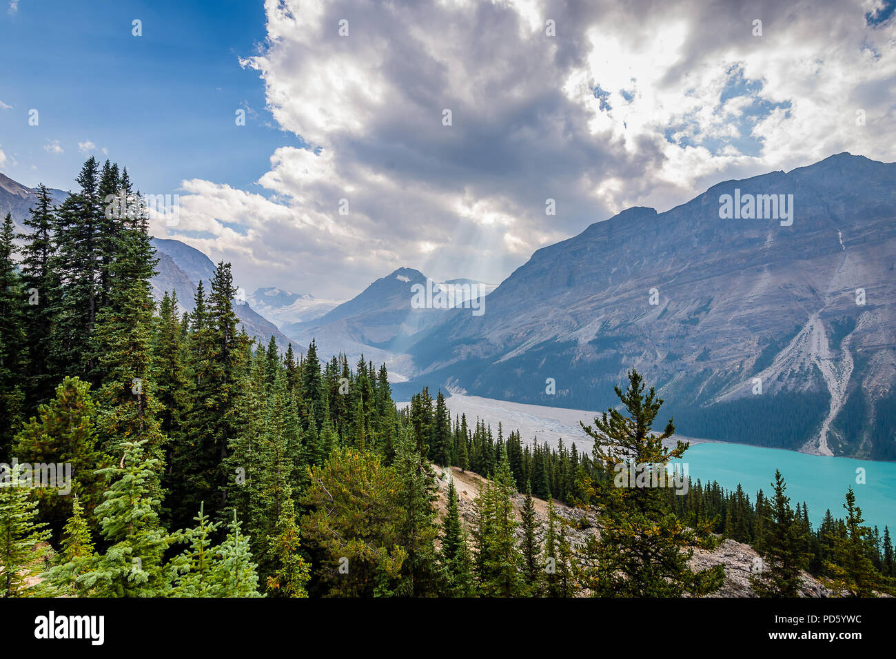 Le lac Peyto Banque D'Images