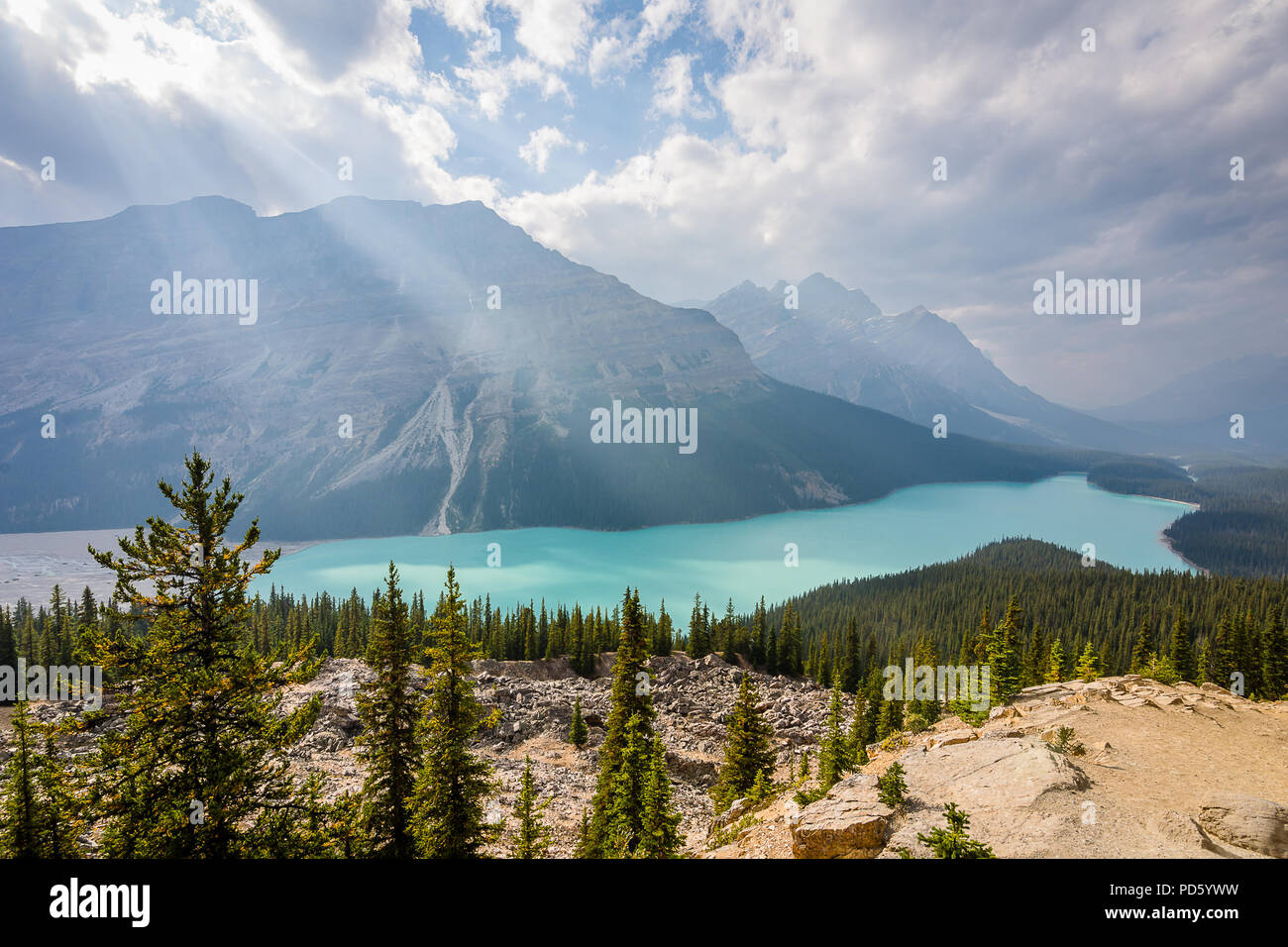 Le lac Peyto Banque D'Images