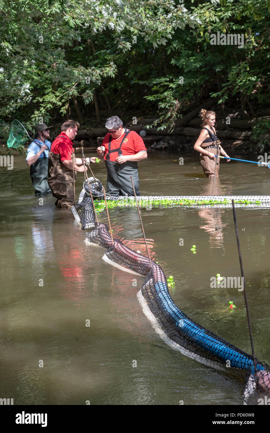 Dearborn, Michigan - officiels de course choisir les gagnants de la course de tortues en plastique sur la rivière Rouge au cours de l'assemblée annuelle festival de Dearborn. Banque D'Images