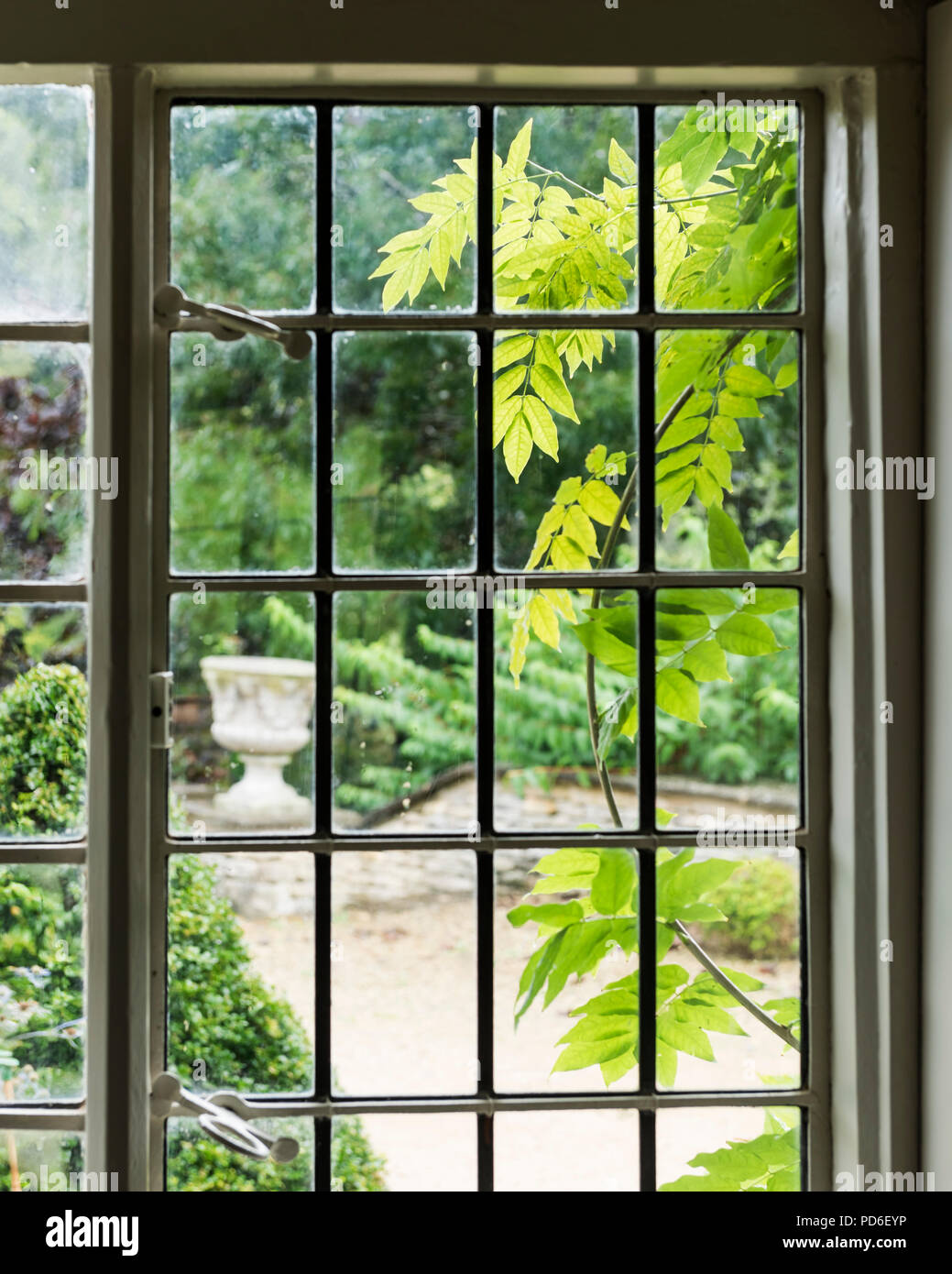 Vue à travers la fenêtre en verre au plomb à l'arrière du jardin. Banque D'Images