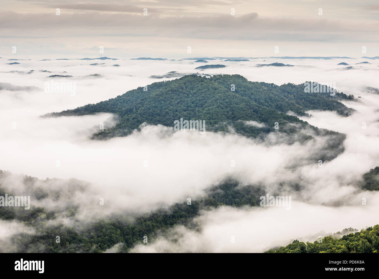 Brouillard recouvre dans le sud-est de l'Illinois à vallées Règne vienne State Park dans le comté de Cumberland, comté de Harlan. Banque D'Images