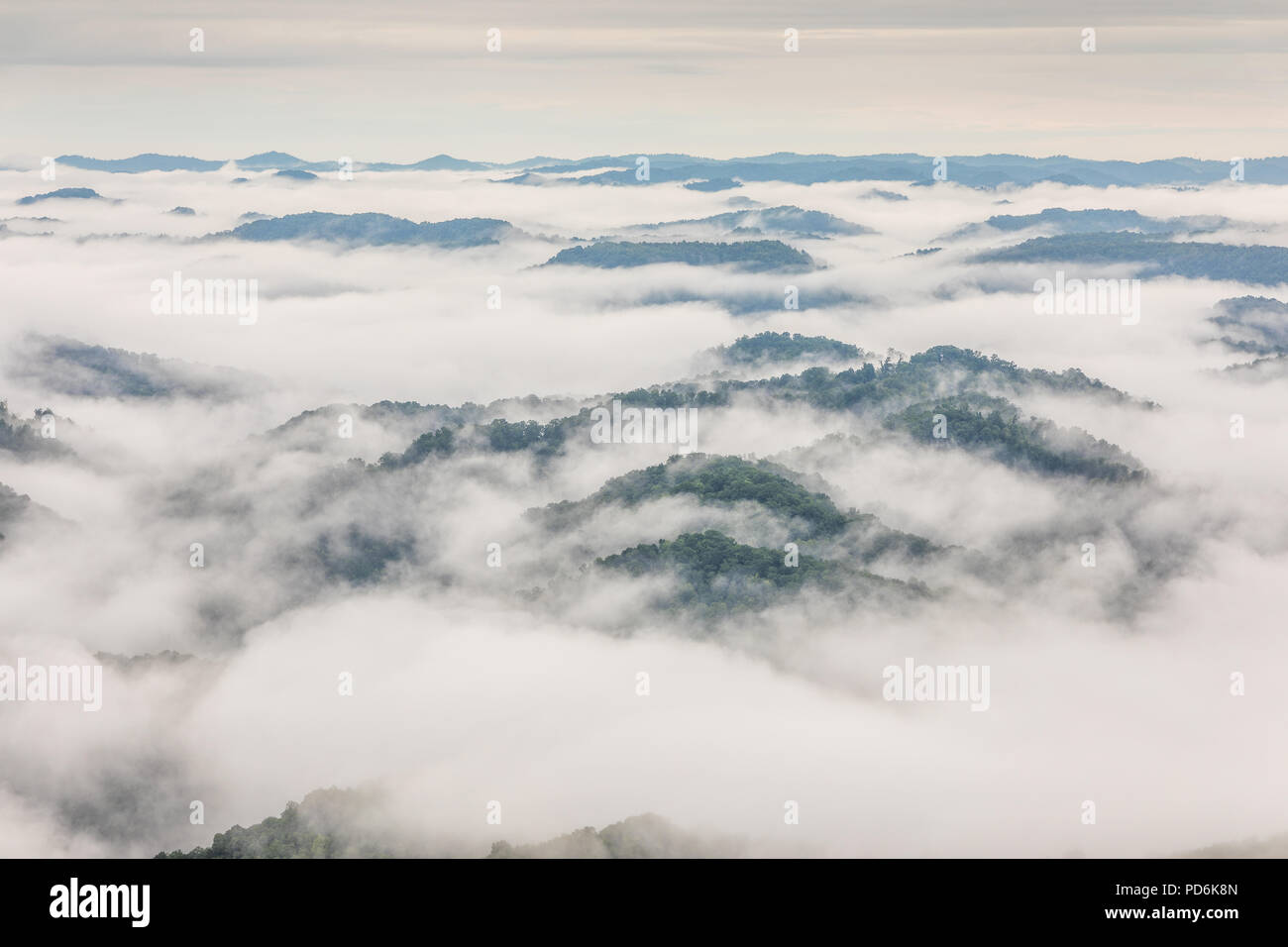 Brouillard recouvre dans le sud-est de l'Illinois à vallées Règne vienne State Park dans le comté de Cumberland, comté de Harlan. Banque D'Images