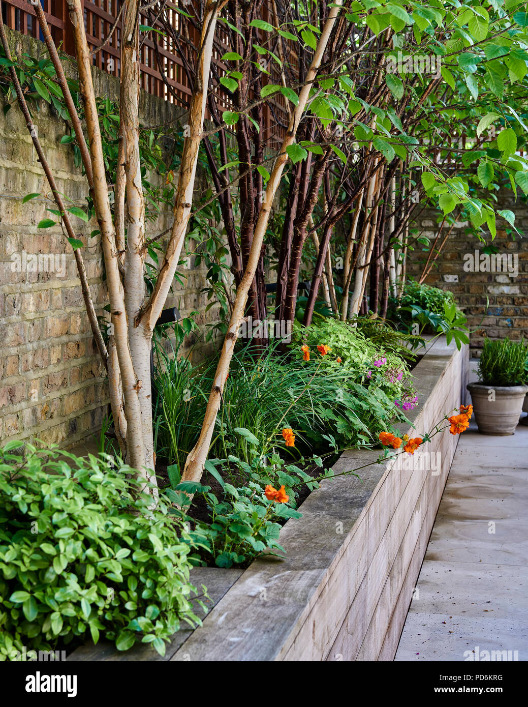 Soulevées parterres jardin de la cour de Londres victorien accueil Banque D'Images