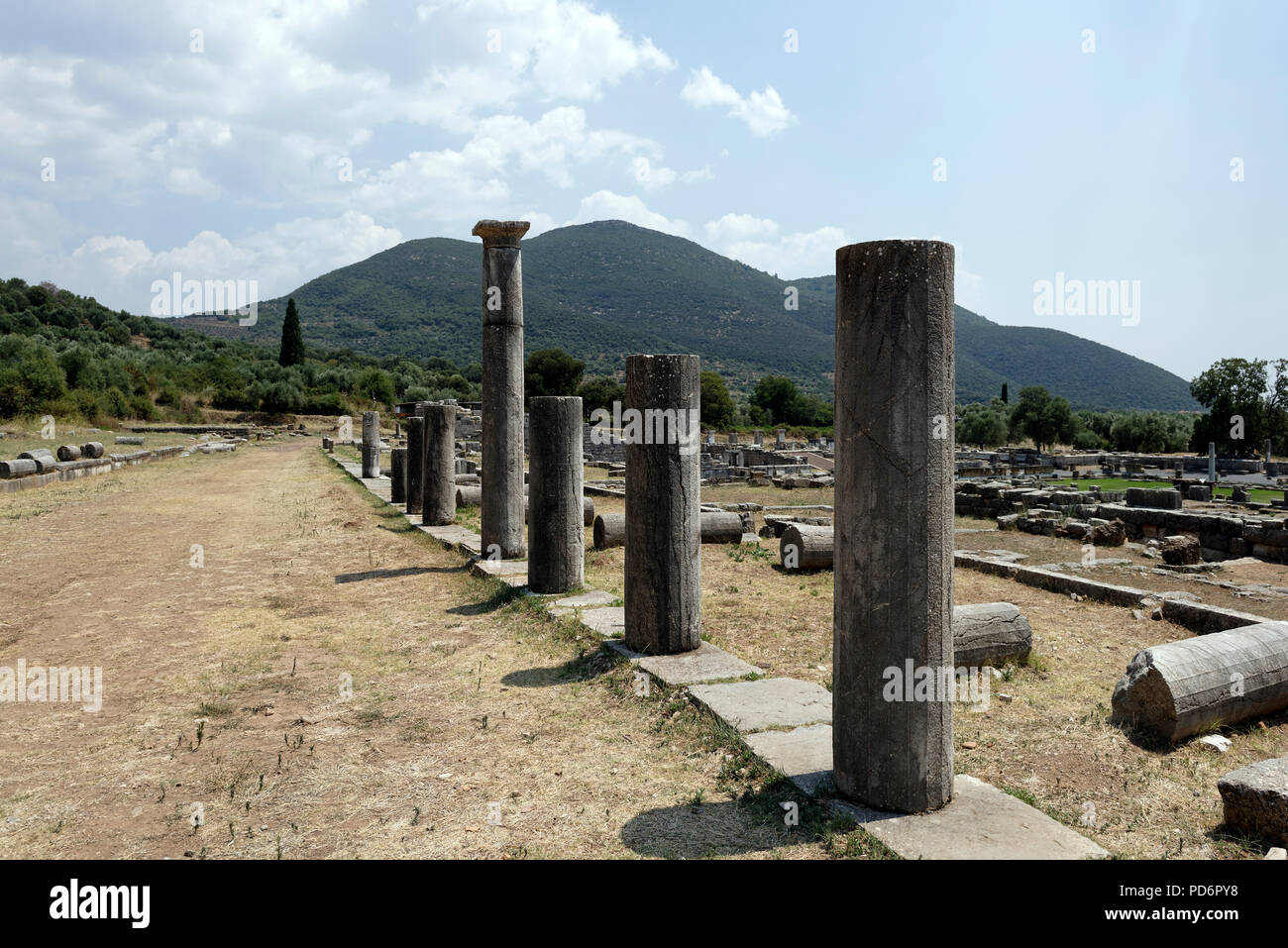 Colonnade dorique ou stoa sur le côté nord du sanctuaire d'Asclépios. Ancienne Messène. Péloponnèse. La Grèce. Ancienne Messène a été fondé o Banque D'Images