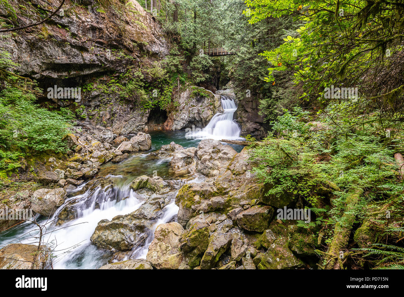 Twin Falls de Lynn Canyon Park Banque D'Images