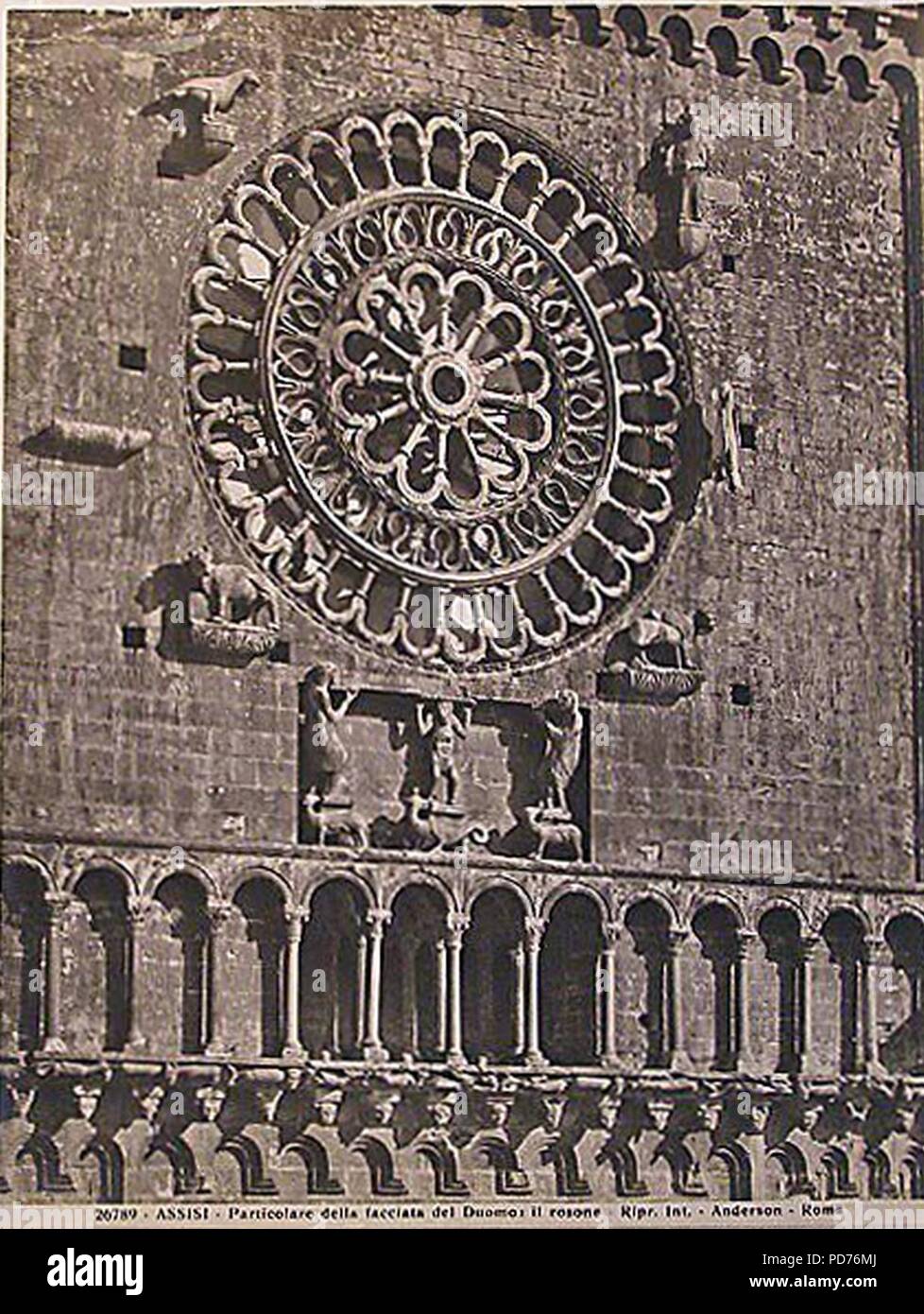 Anderson Domenico (1854-1938) - n. 26789 - Assisi - Amministrazione della facciata del Duomo - Il rosone. Banque D'Images