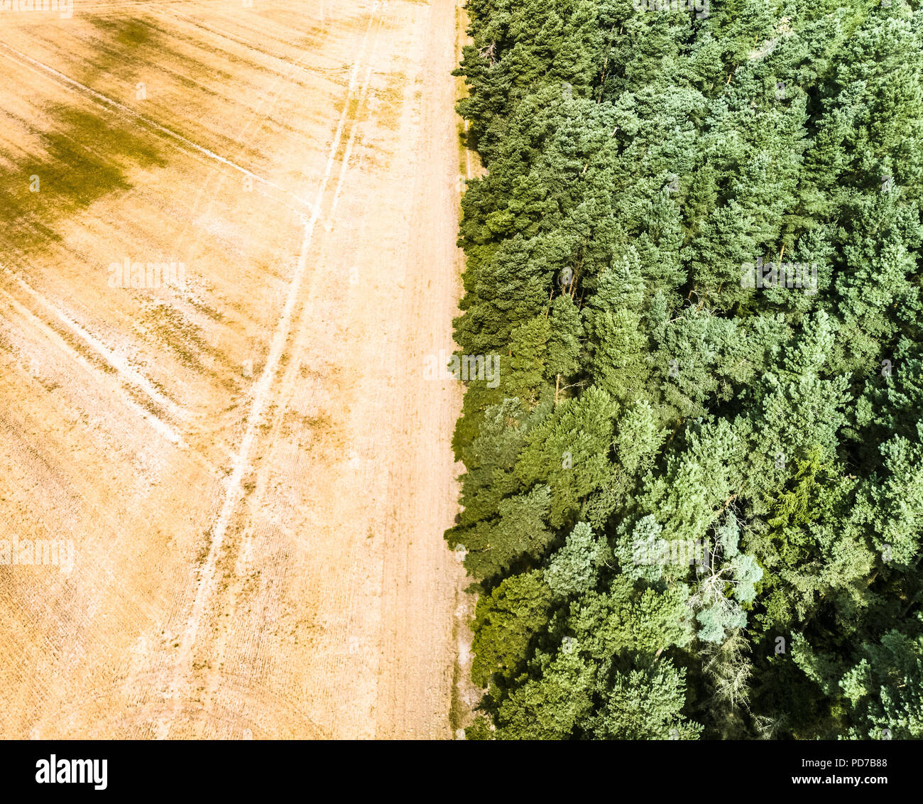 Image abstraite d'un champ de blé moissonné, divisé en une forêt frontière, au milieu. Banque D'Images