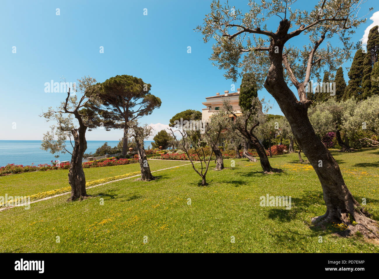 Belle vue depuis le jardin d'une villa, des oliviers Banque D'Images