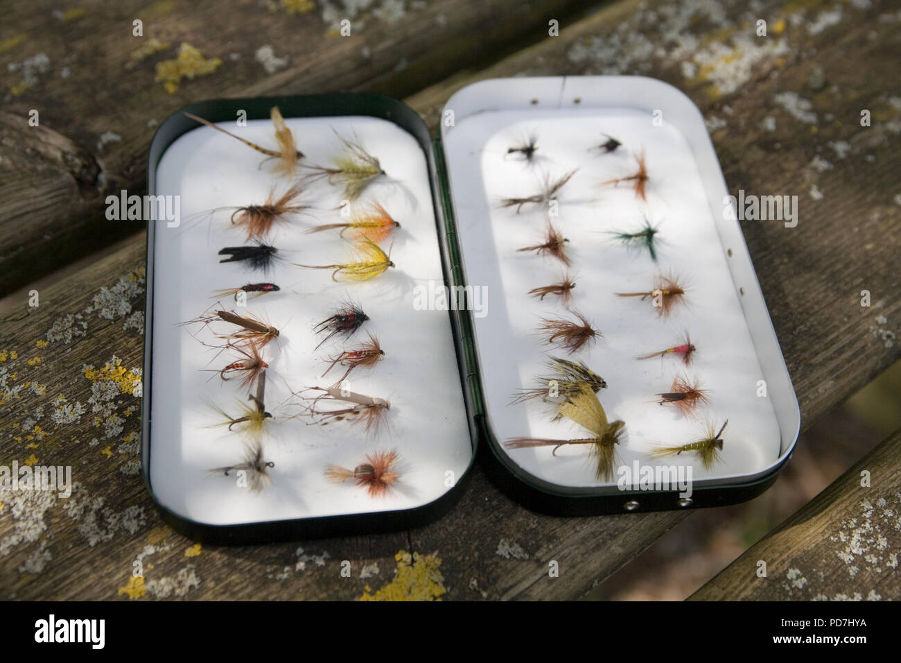 Mouches de Pêche - Pêche de la truite Banque D'Images