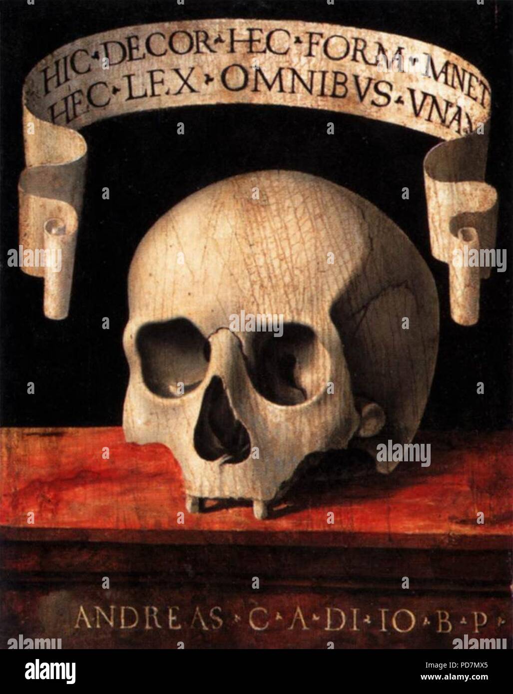 Andrea Previtali - Memento Mori (verso) - Banque D'Images