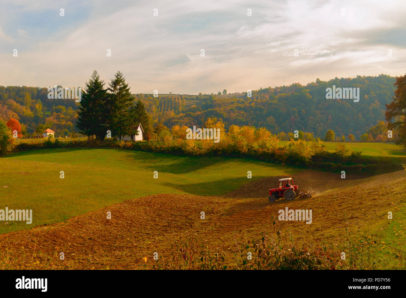 Labourer la terre. Agriculture, paysage, ferme. Village de l'ouest de la Serbie, l'Europe. Banque D'Images
