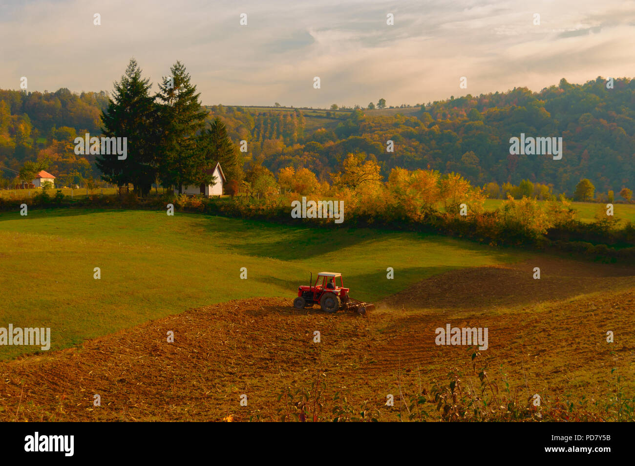 Labourer la terre. Agriculture, paysage, ferme. Village de l'ouest de la Serbie, l'Europe. Banque D'Images