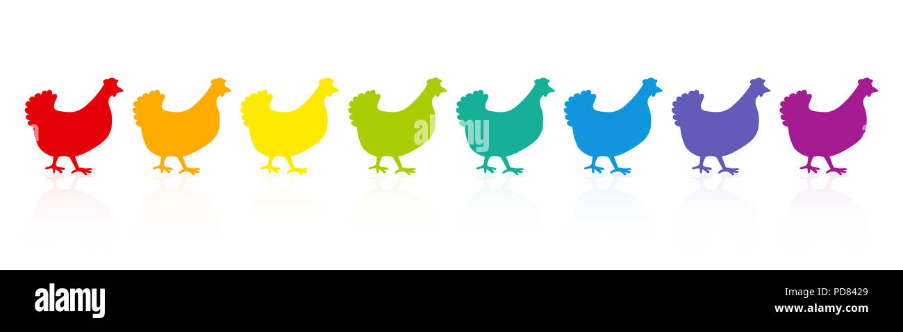 Poulet coloré défilé. Spectre arc-en-ciel de poules. Oiseaux colorés dans un seul fichier. Illustration bande dessinée sur fond blanc. Banque D'Images
