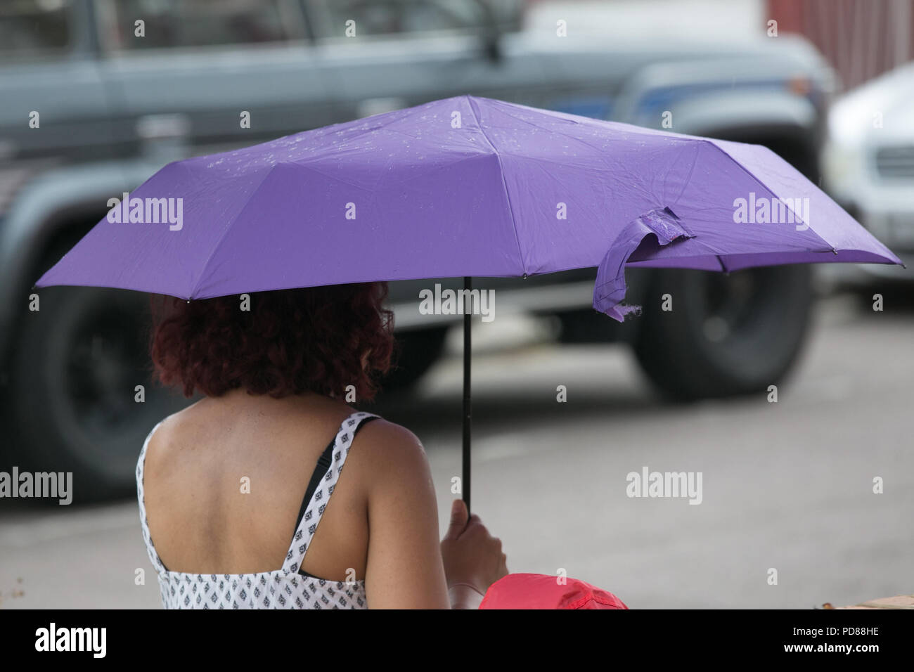 Londres. UK - Une femme abrite de la pluie sous un parapluie la pluie  commence à tomber dans le nord de Londres. Le Met Office a publié un  réchauffement de la météo