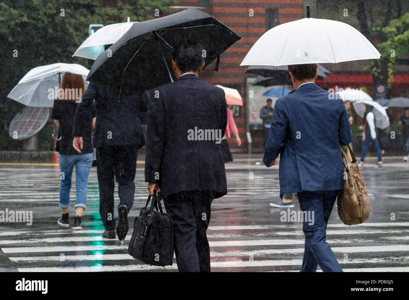 Tokyo, Japon. 8 août 2018. Les effets du typhon Shanshan sont ressenties à Tokyo le 8 août 2018, au Japon. Le typhon est prévue sur un terrain près de Tokyo, dans les premières heures du jeudi 9 au cours de l'heure de pointe du matin. Credit : Rodrigo Reyes Marin/AFLO/Alamy Live News Banque D'Images