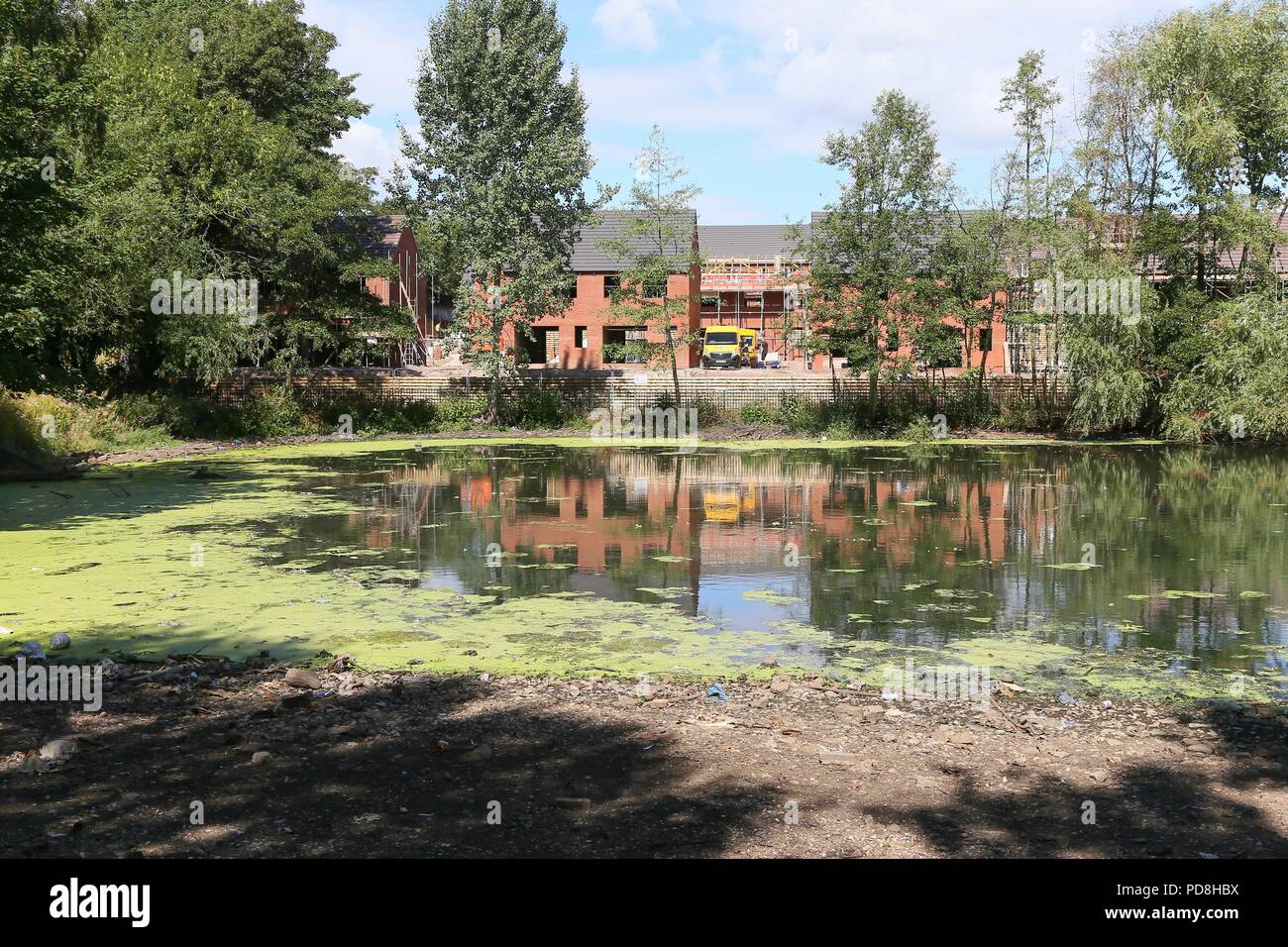 Smethwick, West Midlands, Royaume-Uni. 8 Août, 2018. Une piscine a été fermé au public à compter jusqu'à 45 oiseaux, surtout les bernaches du Canada, sont morts au cours des dernières semaines après avoir développé des bactéries dans une piscine dans le parc Victoria, Smethwick, près de Birmingham, en raison de la récente par temps chaud. Un porte-parole de la RSPCA suspects les oiseaux sont morts après avoir contracté le botulisme aviaire. Peter Lopeman/Alamy Live News Banque D'Images