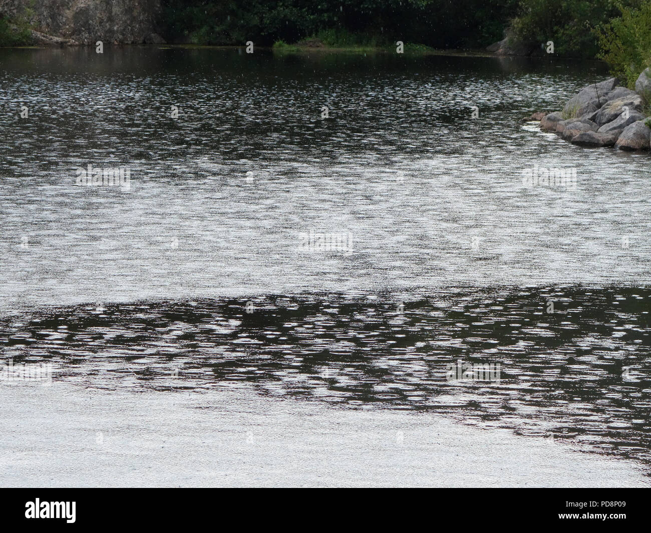 Les gouttes de pluie tombant dans un lac dans le sud de la France. De légères averses se produit enfin en août pendant la vague de 2018 en France Banque D'Images