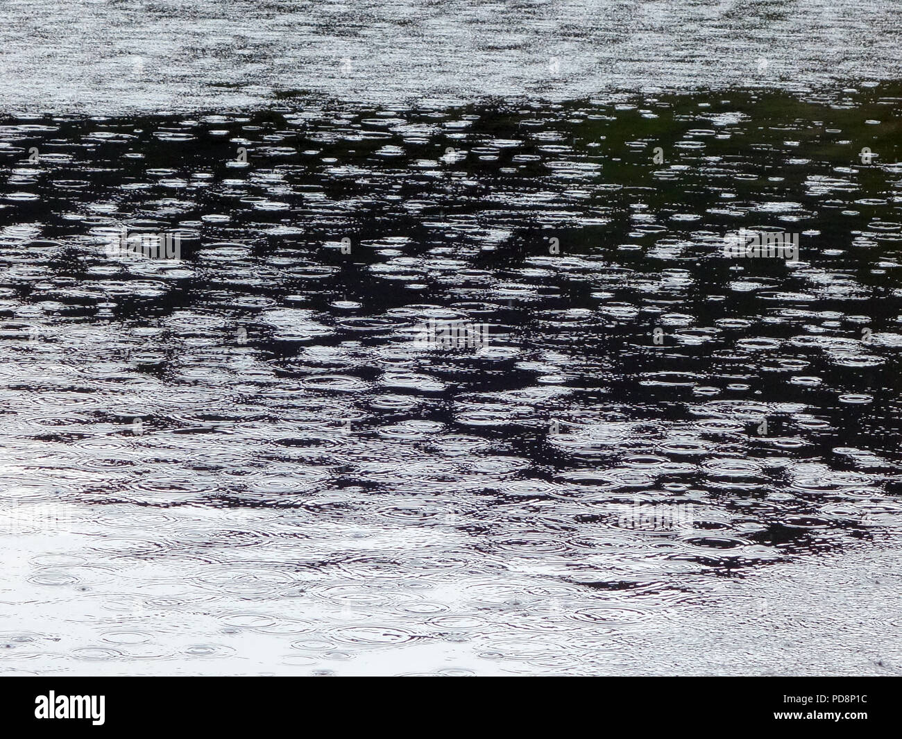 Les gouttes de pluie tombant dans un lac dans le sud de la France. De légères averses se produit enfin en août pendant la vague de 2018 en France Banque D'Images