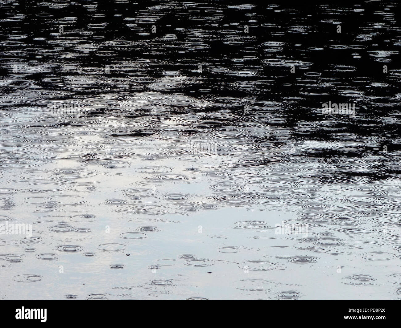 Les gouttes de pluie tombant dans un lac dans le sud de la France. De légères averses se produit enfin en août pendant la vague de 2018 en France Banque D'Images