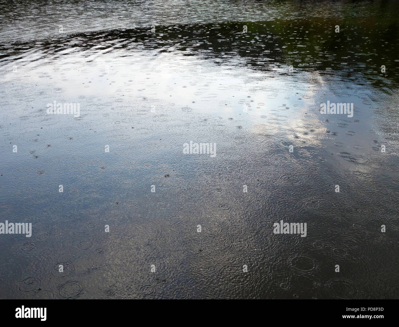 Les gouttes de pluie tombant dans un lac dans le sud de la France. De légères averses se produit enfin en août pendant la vague de 2018 en France Banque D'Images
