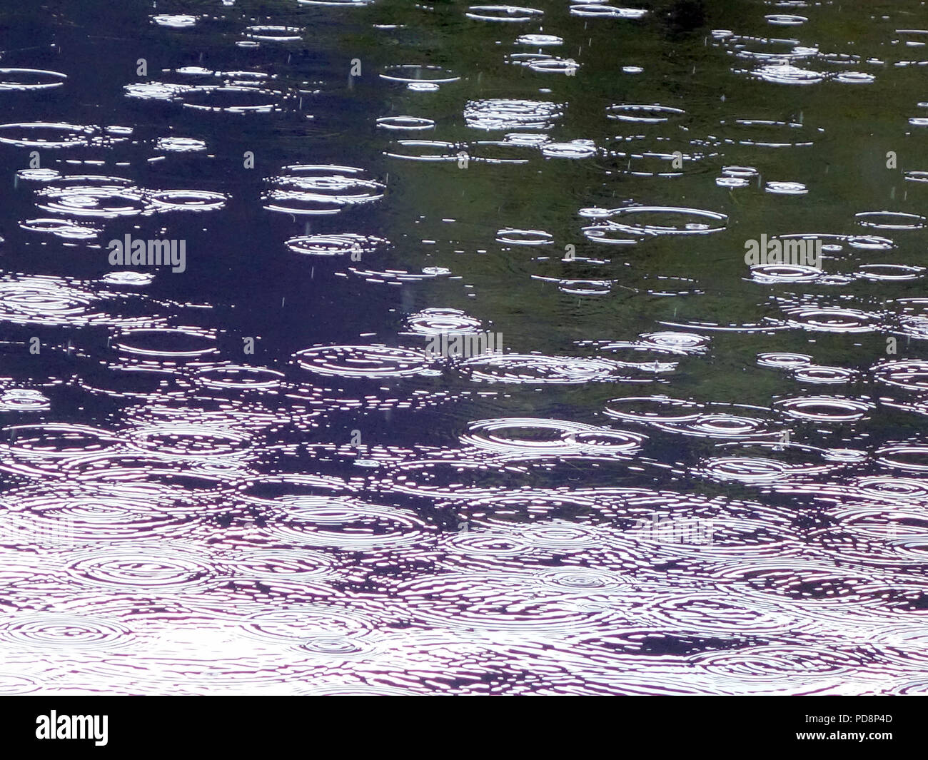 Gouttes de tomber dans l'eau d'un lac dans le sud de la France. De légères averses se produit enfin en août pendant la vague de 2018 en France Banque D'Images