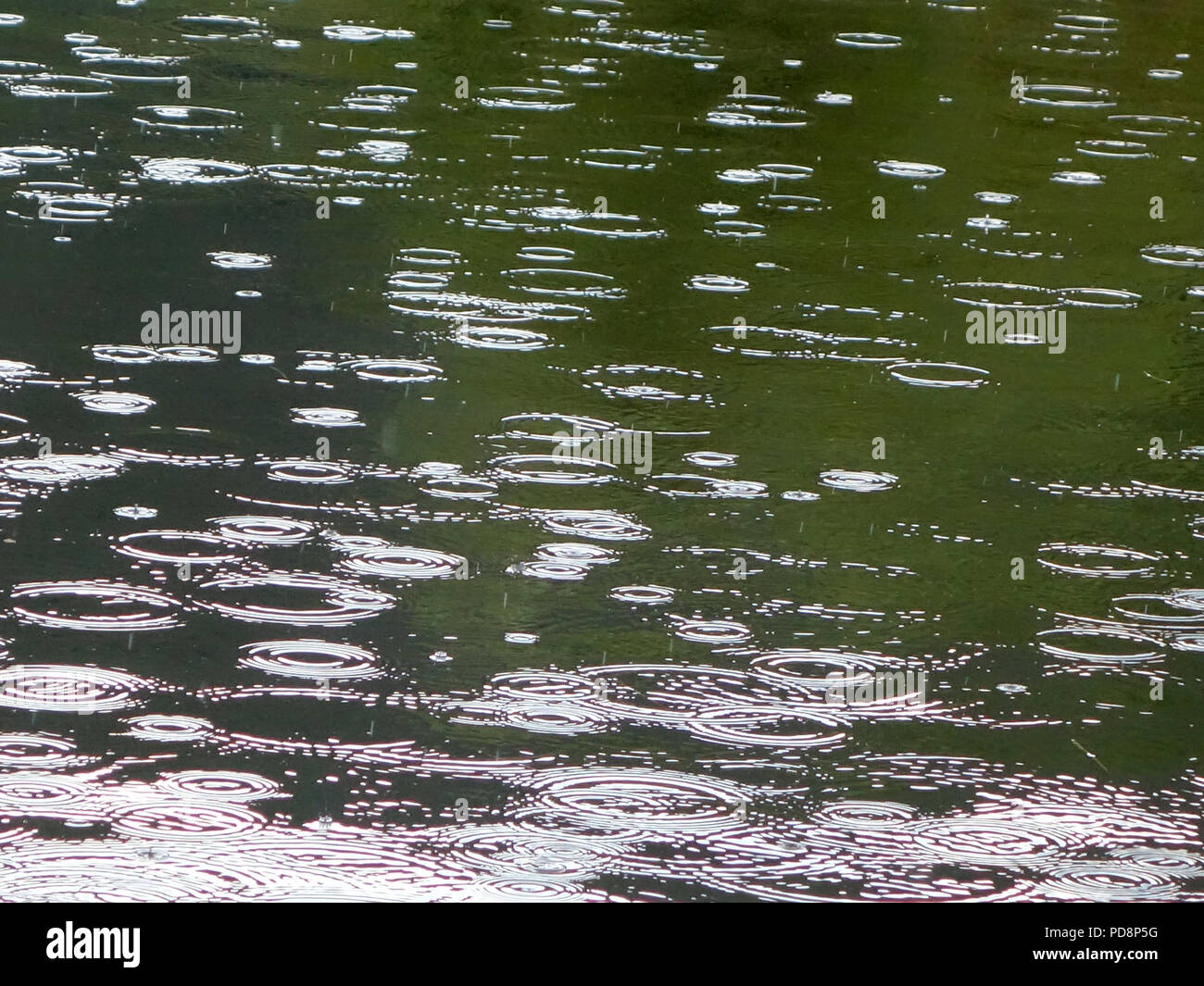 Les gouttes de pluie tombant dans un lac dans le sud de la France. De légères averses se produit enfin en août pendant la vague de 2018 en France Banque D'Images