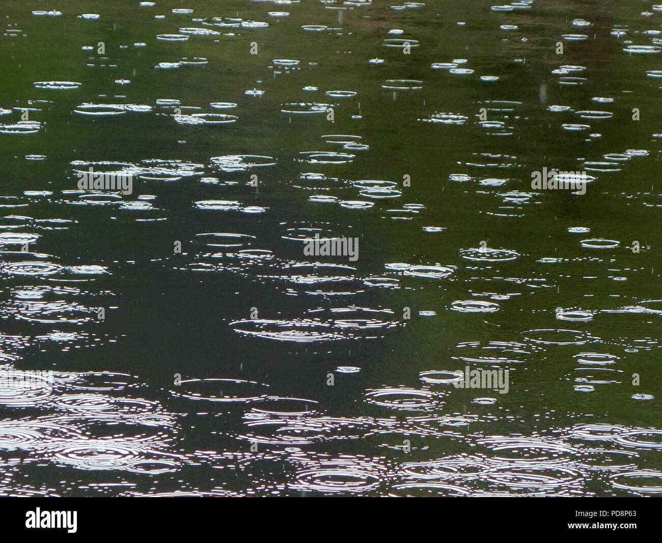 Les gouttes de pluie tombant dans un lac dans le sud de la France. De légères averses se produit enfin en août pendant la vague de 2018 en France Banque D'Images