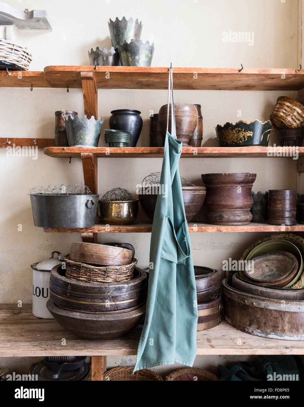 Collection d'eathenware pots jardinage sur étagères en bois Banque D'Images