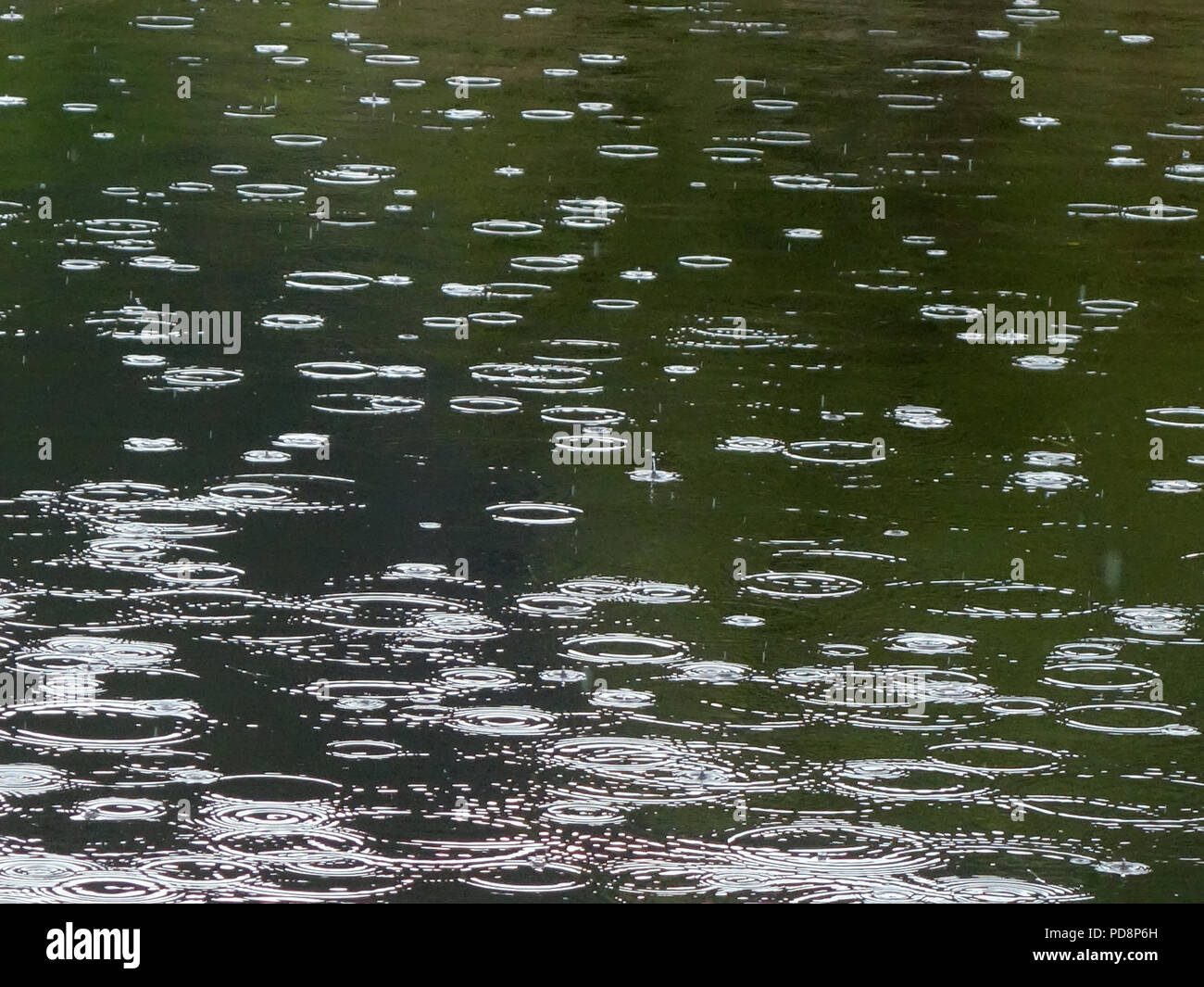 Les gouttes de pluie tombant dans un lac dans le sud de la France. De légères averses se produit enfin en août pendant la vague de 2018 en France Banque D'Images