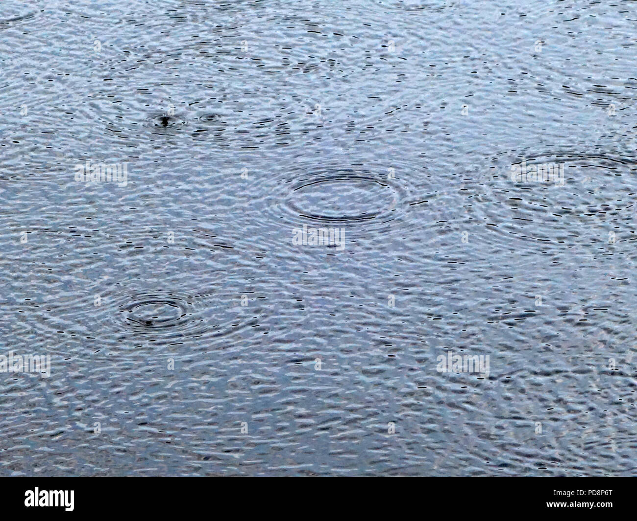 Les gouttes de pluie tombant dans un lac dans le sud de la France. De légères averses se produit enfin en août pendant la vague de 2018 en France Banque D'Images