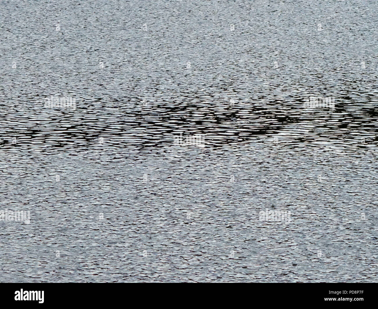 Les gouttes de pluie tombant dans un lac dans le sud de la France. De légères averses se produit enfin en août pendant la vague de 2018 en France Banque D'Images