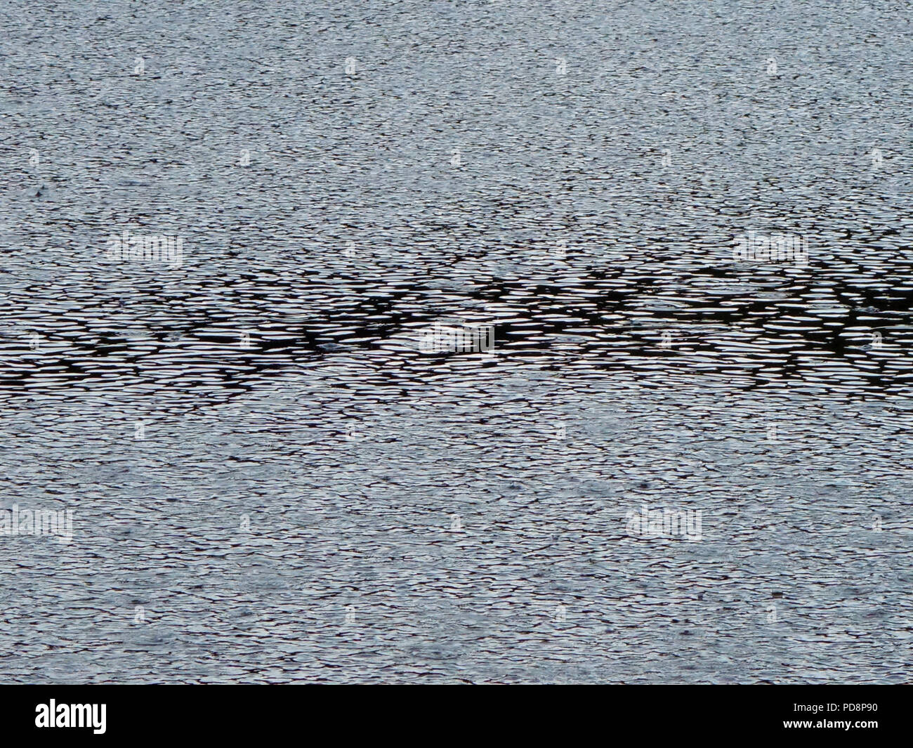 Les gouttes de pluie tombant dans un lac dans le sud de la France. De légères averses se produit enfin en août pendant la vague de 2018 en France Banque D'Images