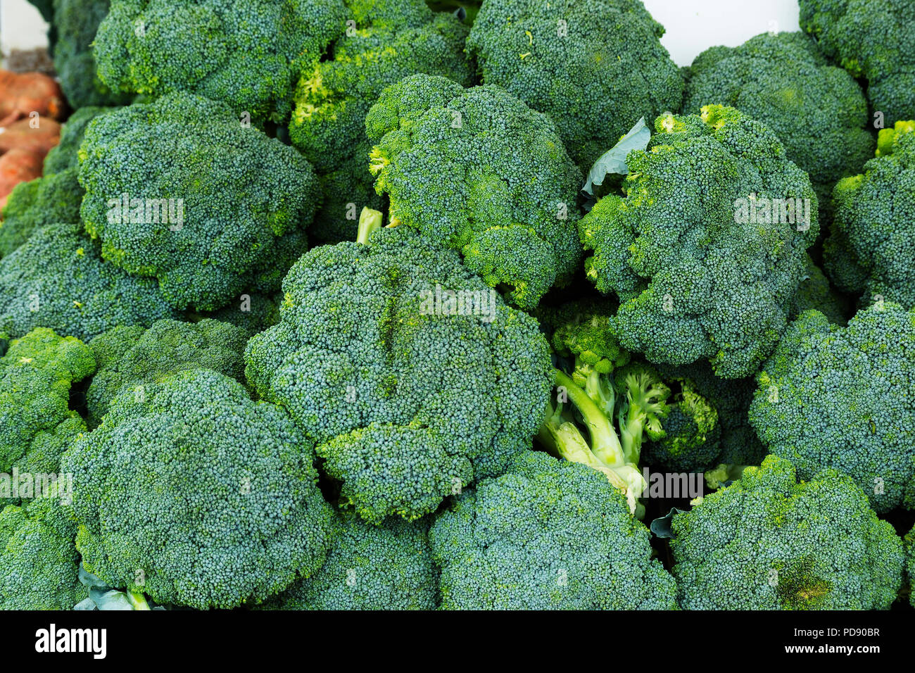 Le brocoli frais pour la vente au stand du marché. Banque D'Images