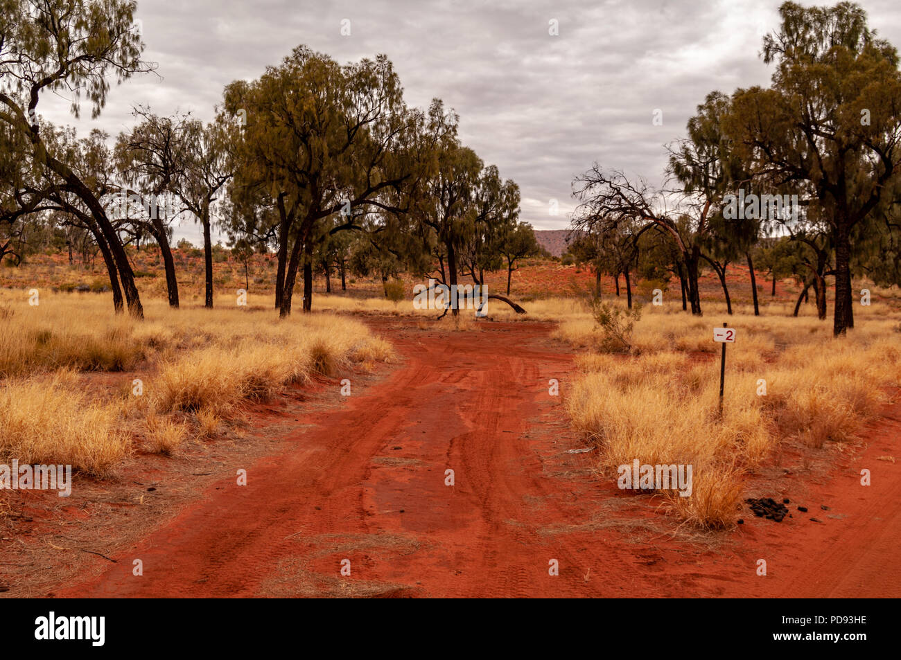 KALTUKATJARA CAMP SITE, GREAT CENTRAL ROAD, TERRITOIRES DU NORD, AUSTRALIE Banque D'Images