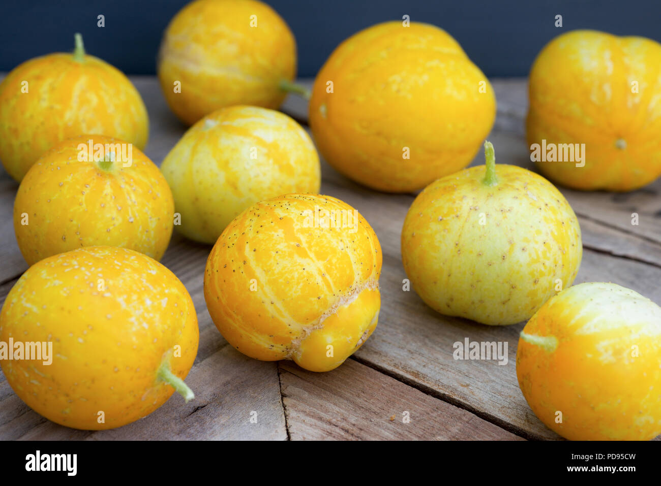 Les concombres citron, également connu sous le nom de Cucumis sativus sur un fond de bois rustique. Banque D'Images